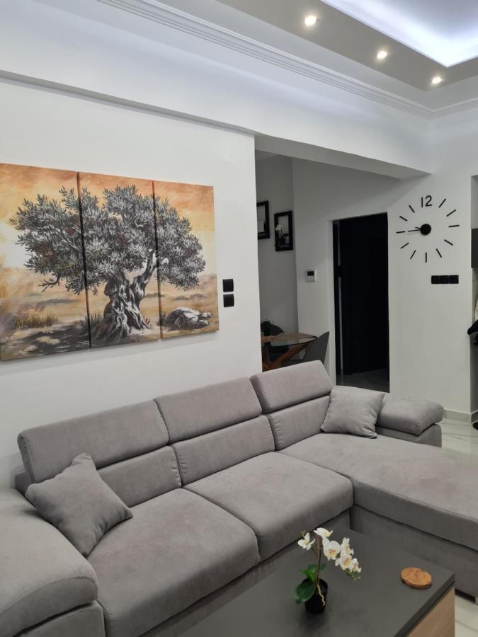 Jenny's Dream -acropolis Lux 2 Bedroom Apt, With Hot Tub, Free Netflix, Fast Wifi Apartment